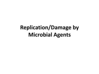 Replication/Damage by
Microbial Agents
 