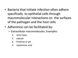 • Bacteria that initiate infection often adhere
specifically to epithelial cells through
macromolecular interactions on the surfaces
of the pathogen and the host cells
• Adherence can be facilitated by:
– Extracellular macromolecules. Examples:
1. slime layer,
2. capsule
3. Fimbriae or pili
4. Lipotechoic acid
 