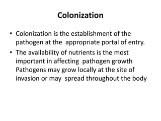 Colonization
• Colonization is the establishment of the
pathogen at the appropriate portal of entry.
• The availability of nutrients is the most
important in affecting pathogen growth
Pathogens may grow locally at the site of
invasion or may spread throughout the body
 