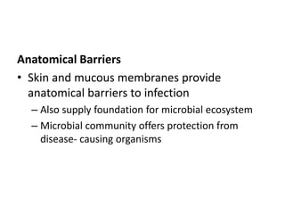 Anatomical Barriers
• Skin and mucous membranes provide
anatomical barriers to infection
– Also supply foundation for microbial ecosystem
– Microbial community offers protection from
disease- causing organisms
 