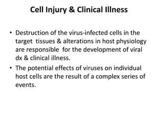 Cell Injury & Clinical Illness
• Destruction of the virus-infected cells in the
target tissues & alterations in host physiology
are responsible for the development of viral
dx & clinical illness.
• The potential effects of viruses on individual
host cells are the result of a complex series of
events.
 