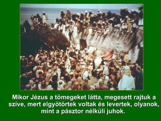 Mikor Jézus a tömegeket látta, megesett rajtuk a szíve, mert elgyötörtek voltak és levertek, olyanok, mint a pásztor nélküli juhok.  