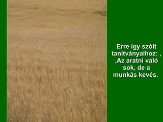 Erre így szólt tanítványaihoz: ,,Az aratni való sok, de a munkás kevés.  