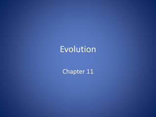 #11 evolution | PPTX