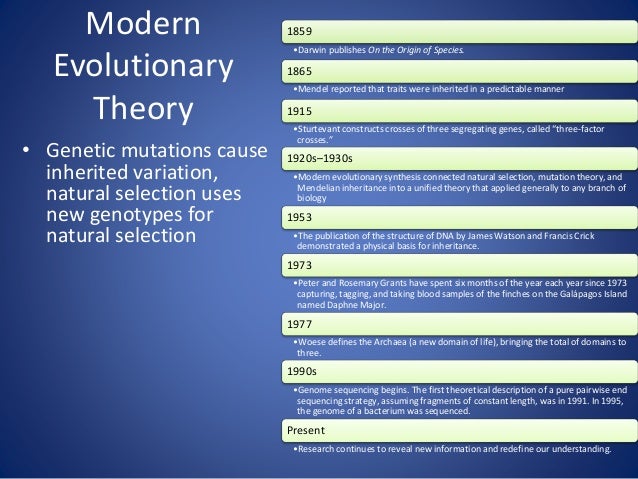 Natural Selection Favors Some Mutations Natural Selection Favors Some Mutations