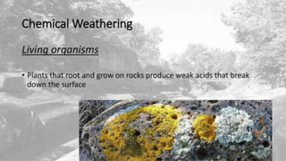 11 EXOGENIC PROCESSES.pptx