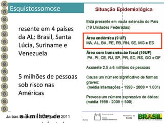 Esquistossomose

      resente em 4 países
      da AL: Brasil, Santa
      Lúcia, Suriname e
      Venezuela


      5 milhões de pessoas
      sob risco nas
      Américas


      a 3 milhões de
Jarbas Barbosa – SVS/ junho 2011
 