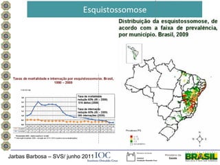 Jarbas Barbosa – SVS/ junho 2011
 