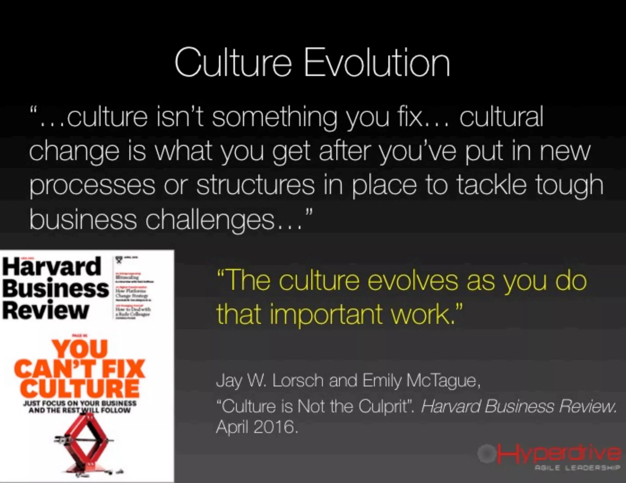 ScrumAlliance Global Talk exCIO