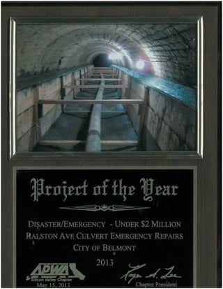 project of the year2