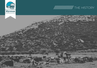 THE HISTORY
Mycenae
 