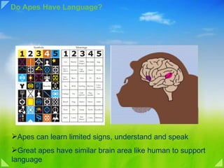Language and Communication | PPT