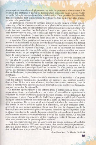 phase qui se situe chronologiquement au sein du processus aboutissant à la
création des protéines à partir de l’information contenue dans le gène. Cette
nouvelle thérapie permet de rétablir la fabrication d’une protéine fonctionnelle
dans des cellules dont le patrimoine héréditaire altéré ne permet plus d’assu­
rer une telle production.
Les principaux travaux de thérapie génique menés jusqu’à présent consis­
taient à greffer de diverses manières un « gène médicament » au sein du gé­
nome cellulaire, dans le but d’établir une production de protéines de structure
et de fonction normales. Les biologistes français ont, pour leur part, fait le
pari d’intervenir en aval, sur le message délivré par le gène anormal et non
sur le génome lui-même. Ils corrigent ainsi la traduction du message et non
plus le texte initial. C’est dans ce cadre qu’ils ont eu recours au « saut d’exon ».
La synthèse d’une protéine nécessite que le gène soit en mesure de trans­
mettre à la machinerie cellulaire le code de fabrication nécessaire. Ce dernier
est notamment constitué de « briques » —ou exons —qui sont assemblées bout
à bout au cours de la phase d’épissage. Dans le cas de la plupart des maladies
d’origine génétique, le code de fabrication comporte des anomalies sur un ou
plusieurs exons, ce qui empêche les cellules de l’organisme d’assurer la syn­
thèse de la protéine correspondant au gène anormal.
Le « saut d’exon » se propose de supprimer la partie du code comprenant
l’erreur afin de rétablir une lecture normale et d’obtenir ainsi une production
protéique normale. Mise en œuvre de manière expérimentale au cours de ces
dernières années, cette technique n’avait jamais permis de parvenir à des
résultats thérapeutiques significatifs et durables. Tel n’est plus le cas avec le
travail des biologistes français mené sur des souris souffrant de la myopathie
dite de Duchenne, la plus fréquente des maladies neuromusculaires d’origine
génétique.
Dans cette affection, l’altération de la structure - la mutation —d’un gène
rend les cellules musculaires incapables de produire une protéine appelée
dystrophine. Grâce au « saut d’exon », les chercheurs sont parvenus, chez la
souris, à rétablir une production d’une dystrophine qui, si elle reste tronquée,
n’en est pas moins fonctionnelle.
Ce résultat spectaculaire a été obtenu grâce à l’introduction dans l’orga­
nisme des animaux malades d’un virus porteur d’une molécule capable natu­
rellement de rendre inutile l’utilisation de l’exon anormal lors de l’épissage. En
l'occurrence, il s’agit d’une molécule d’ARN qui a pour propriété spécifique de
masquer l’exon défectueux et de rétablir de la sorte une traduction normale du
gène en protéine. Ce vecteur viral a été injecté soit dans le tissu musculaire
des pattes de souris adultes (âgées de 8 semaines), soit par perfusion intra-
artérielle de ces mêmes animaux. Dans tous les cas, la réapparition de la
dystrophine a été détectée à partir de quatre semaines après l’injection dans
la plupart des fibres du muscle. Les souris traitées ont rapidement montré des
performances musculaires équivalentes à celles des souris saines. Ce résultat
reste stable depuis un semestre, et les chercheurs confient disposer de don­
nées leur permettant de penser qu’il est définitif.
« De nouveaux travaux sont en cours chez des souris porteuses de cellules
musculaires humaines. S ’ils sont concluants, des essais cliniques pourraient,
dans un avenir proche, être menés chez des personnes souffrant de la myopa­
thie de Duchenne », explique Olivier Danos. [...]
Jean-Yves Nau, Le Monde, 06.11.04
f5
 