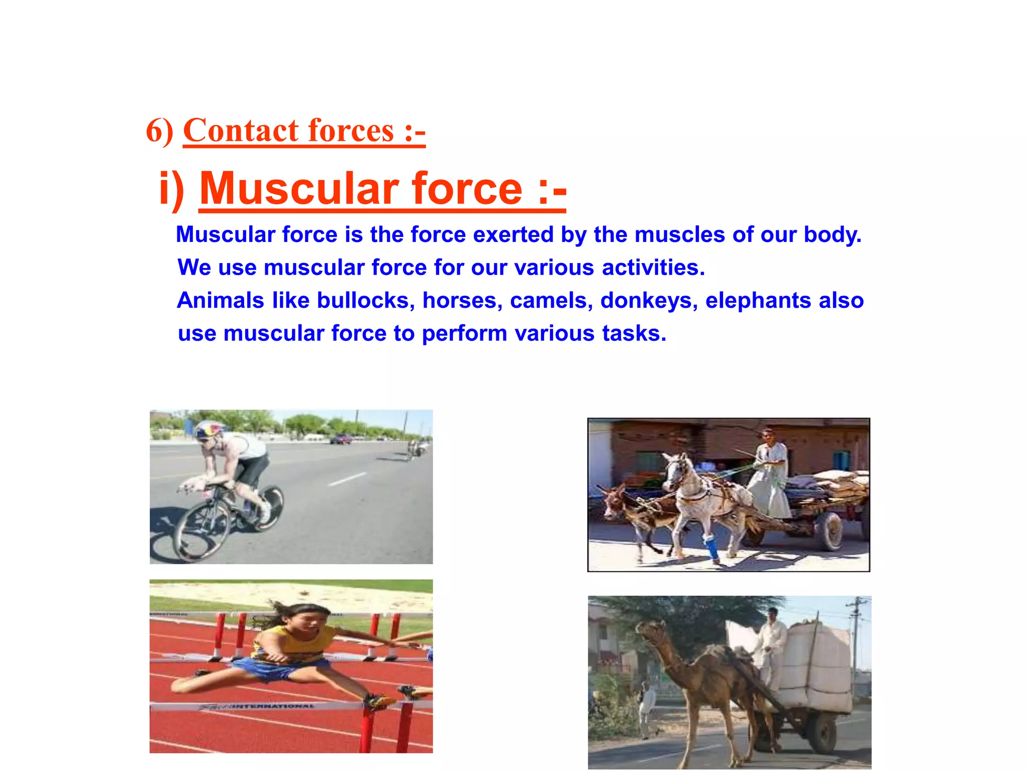 6) Contact forces :-
i) Muscular force :-
Muscular force is the force exerted by the muscles of our body.
We use muscular force for our various activities.
Animals like bullocks, horses, camels, donkeys, elephants also
use muscular force to perform various tasks.
 