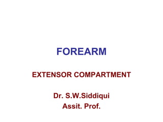 FOREARM
EXTENSOR COMPARTMENT
Dr. S.W.Siddiqui
Assit. Prof.
 