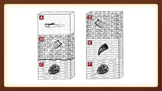 11formationofrocklayers-201115152616.pptx