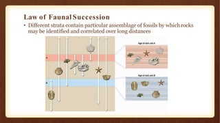 Law of Faunal Succession
• Different strata contain particular assemblage of fossils by whichrocks
may be identified and correlated over long distances
 