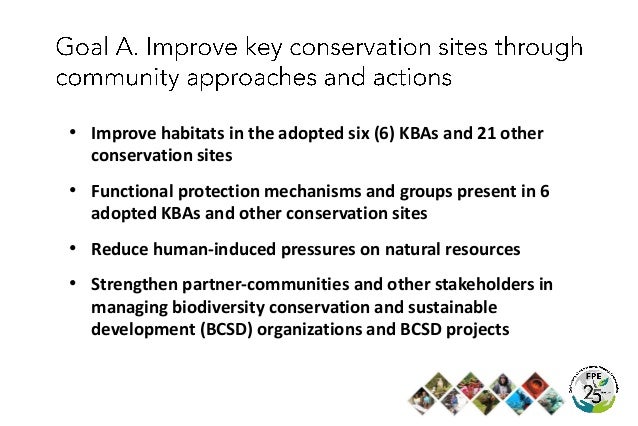 FPE at 25: Calibrating Commitments and Actions into the Future FPE at 25: Calibrating Commitments and Actions into the Future