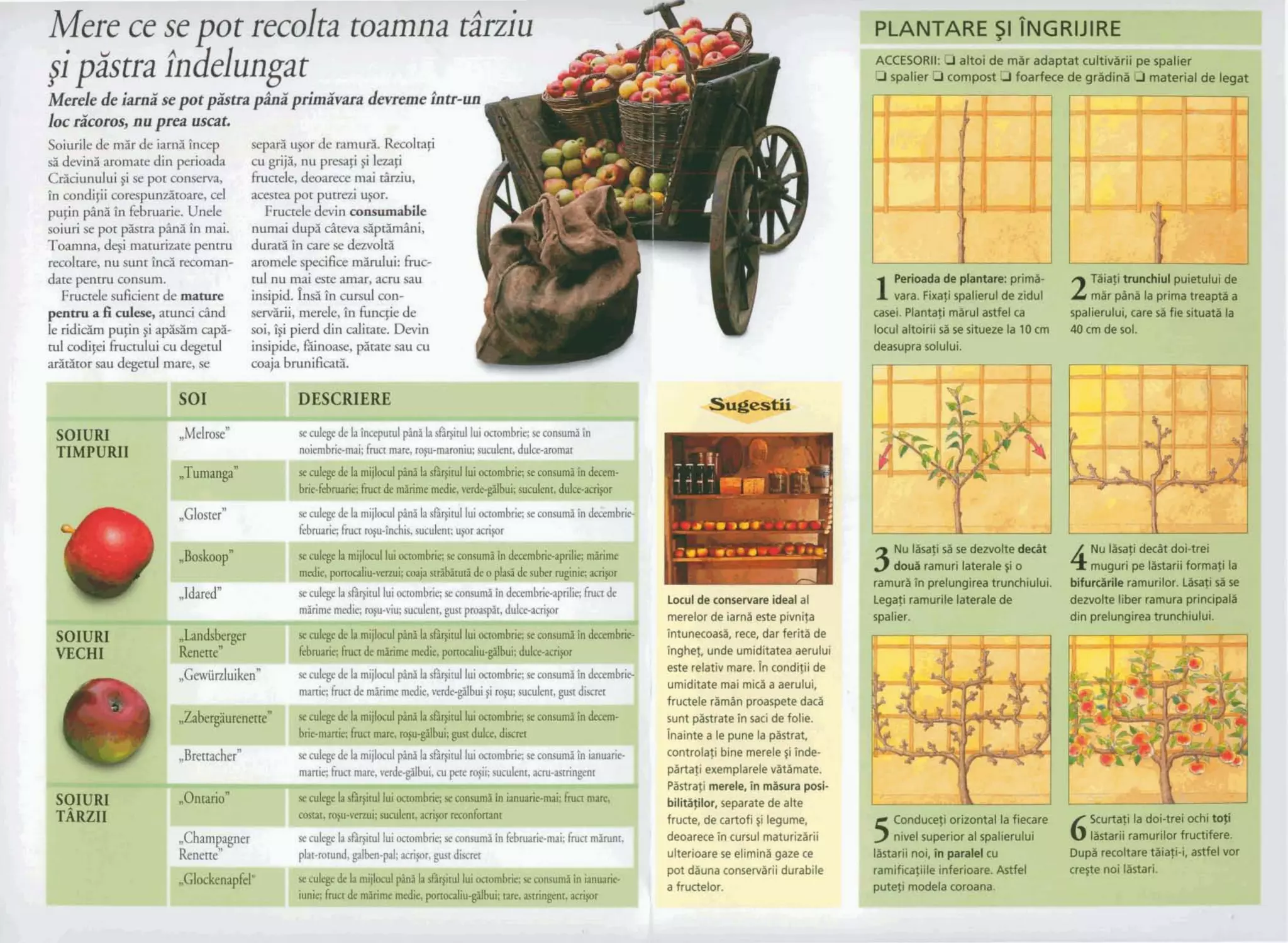 .eueoJoJelapou,!ialnd
'!Jepgl!OUad^'JJeO!JJ$U!~~!!$DIJ!w~J
JOAlapse'!-!ie!g~JJ~IIO~JJednan3lalersdu!'IOU!!~epel
-JJJ!DnJ$JOl!JnUeJ!!JePel~n[n~a!ledsleJO!JJ~~SI~A!U
@a!g30!a~$-!opel!&un>s
2.
[:
1
t-
,.I..
4L-
I
r?wabn*
-I
I
upaupp!d!.$'!OS-$wUQ+E14@ndVI~Ua1
apayisutyu~<aI;UaUr'p.pnspuppmu~WpgB~52d
-urnp~m3ujpr~'p!d!su!anummapauqqnsap~d
msnneLreurt!am!munup~umm~~~
-39:mnquIwzpadsapron-mo~aripq1msnuWp
PITasamqympmudzmzpnae~~kap
meumdp."-vmpgdnppmmua~6m&mdISPIas
=I'!~wUYP=I-d
Gnpp~XIImoepcal~nywwsad;rs$ppm-3
@zq$+~dnu~[!Bru&paoP.aulp~~
@~=x-!F=apJ~+~hmvlpvaspm
'a!lo$ap!xsujelwvgdjuns
'!nlnJaeep!w!ewaleI!p!wn
1 ap!!Qpuo~ulwewn!$eluapa, !nlnJaeeastxyplwnapunqaq6ul
 