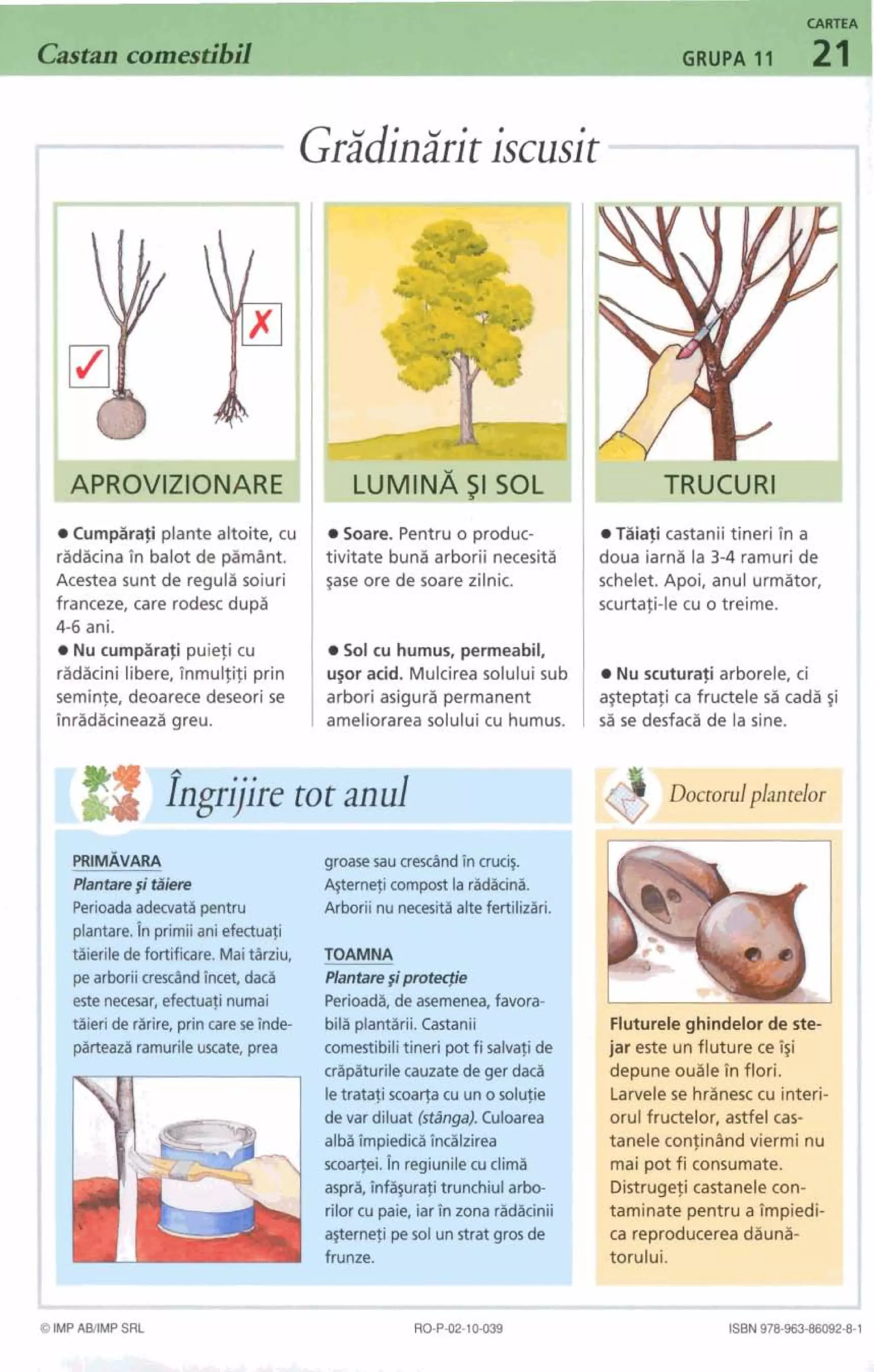 CARTE. I
GRUPA 11 21Castan comestibil
I
Gridiniritiscusit
1
T R l I fl lRl
I
Cumpirafi plante altoite, cu
r:!d:!cina tn balot de pirnant.
Acestea sunt de reguli soiuri
franceze, care rodesc dupi
4-6 ani.
Nu cumpZirafi puiefi cu
ridacini libere, lnrnulfiti prin
serninfe, deoarece deseori se
Tnrid3cineazi gre..
Soare. Pentru o produc-
tivitate buni arborii necesit:!
pse ore de soare zilnic.
Taiafi castaniitineri Tn a
doua iarn:! la 3-4 ramuri de
schelet. Apoi, anul urmator,
scurtafi-le cu o treirne.
So1cu humus, permeabil,
u p acid. Mulcirea solului sub
arbori asigura permanent
arneliorarea solului cu humus.
Nu scuturafi arborele, ci
a~teptafica fructele s i cad:! $i
s i se desfaci de la sine.
I
[.ingr~irre tot anul -1
PRIMAVABB
Plantare$iSiem
Perioadaadecvata pentru
plantare.Inprimiianiefectuafi
taieriledefortificare. Maitarziu,
pearboriicrescandincet, dac2
estenecesar, efectuafinumai
taieri de ririre, princarese5nde
parteaziramurileuxate, prea
groasesaucresdndincruciz.
&erne$ compost la ridicini.
Arboriinunecesitaalte fertilizari.
TOAMNA
Plantare siprote@e
Perioadi, de asemenea, favora-
bilaplantarii. Castanii
comestibilitineri potfi salvafi de
cripiturilecauzatede ger dad
Flutureleghindelor de ste-
I
jar este un fluture ce i ~ i
depune ouale in flori.
, Larvele se hrinesc cu interi-
1 orul fructelor, astfel cas-
tanele confinand viermi nu
bai pot fi consurnate.
Distrugeti castanele con-
taminate pentru a impiedi-
ca reproducerea dguni-
wului.
letratafi scoafla cu uno solufie
devar diluat (strings). Culoarea
albgimpiedicaincilzirea
xoaflei. Inregiunilecuclirni
aspri, infi~urafitrunchiularbo-
rilor cu paie, iarinzona radicinii
agernefi pesol unstratgros de
frunze.
ISBN978-933-86092M
 