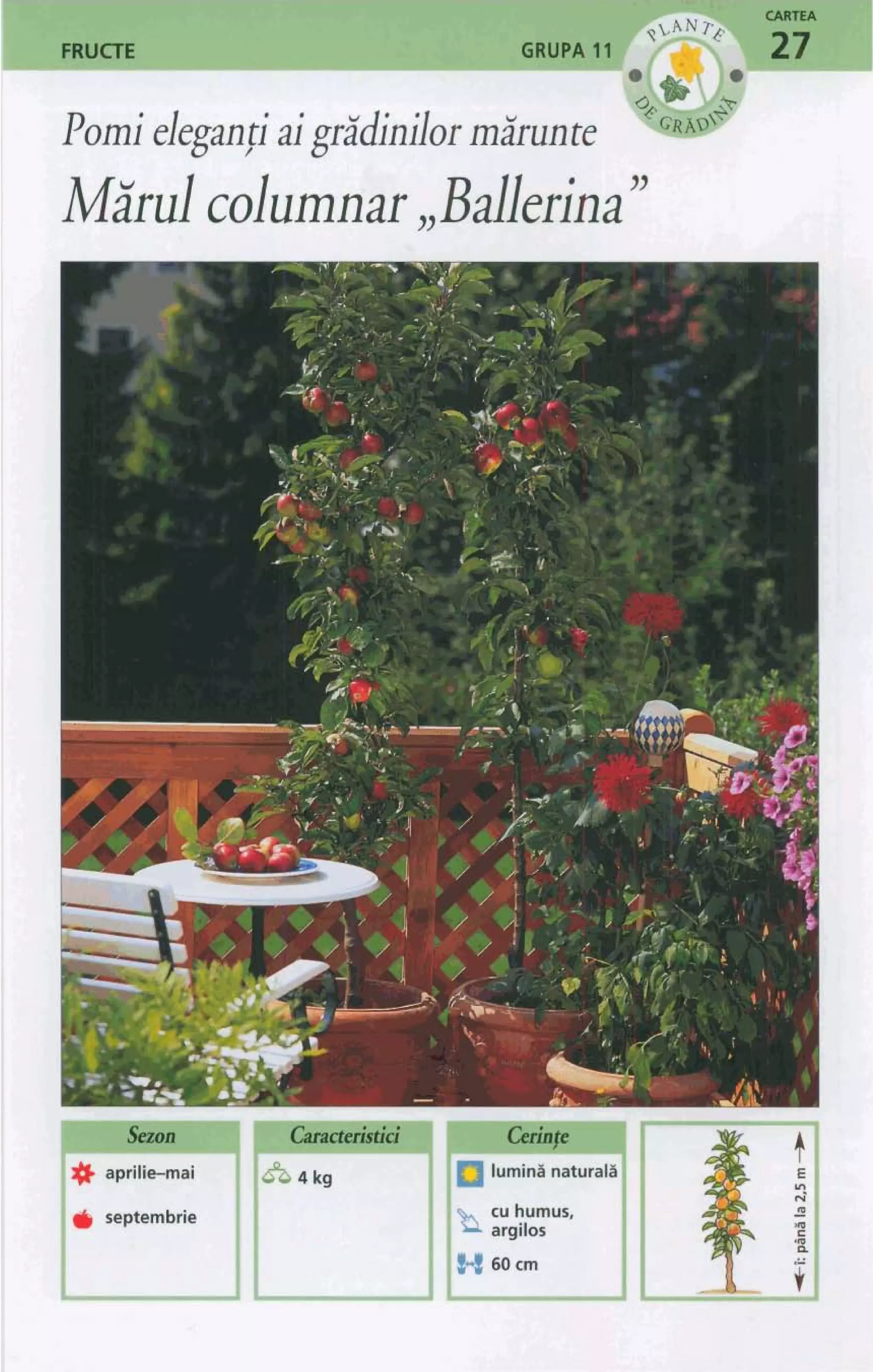 aun~rurn~oiuipt.~??.n.it..du~3aiai~od
 