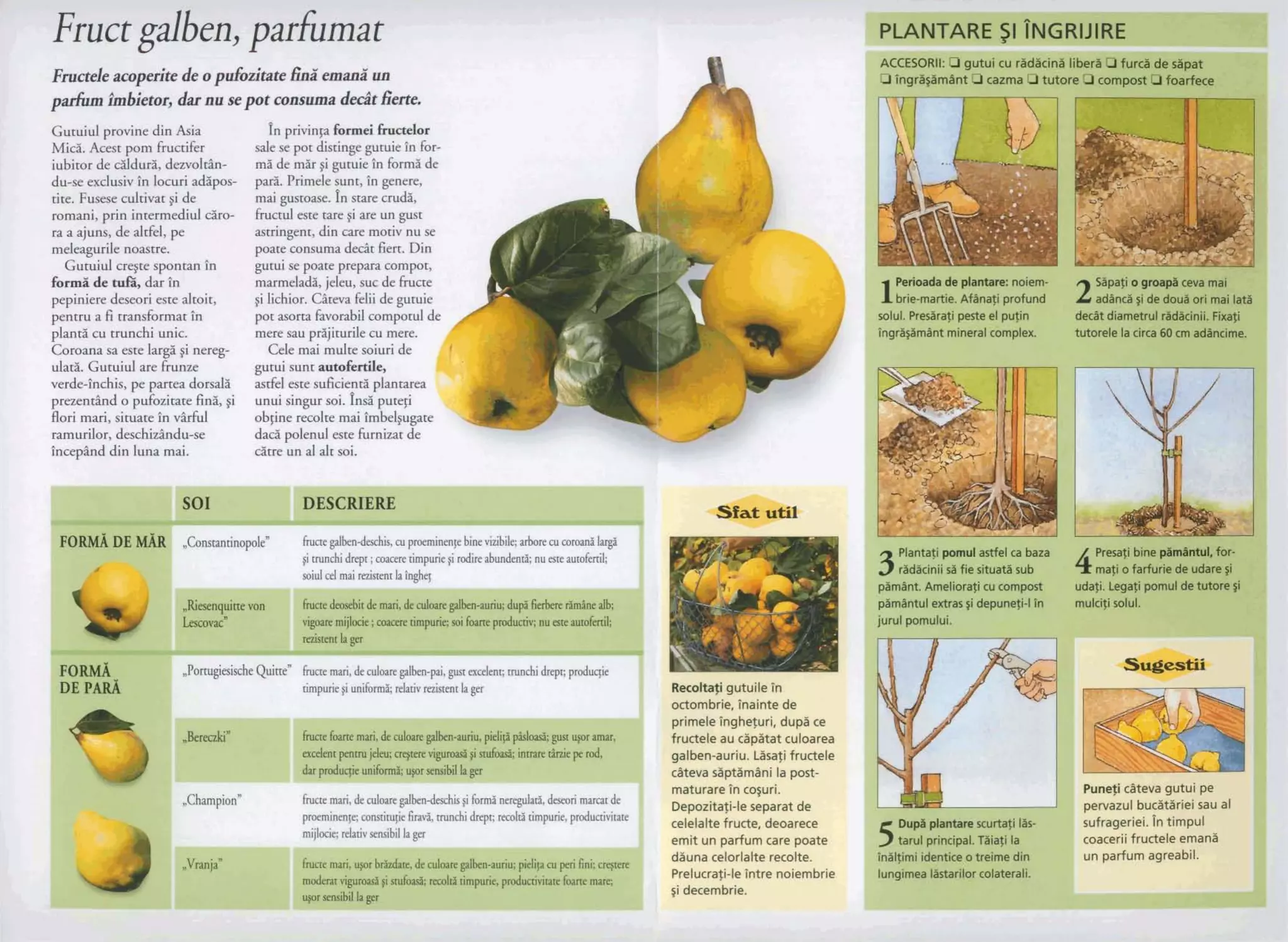 .a!Jqwa>ap!s
a!Jqwa!ouaJ$uial-!$e~mla~d
.a$lo:,aJaqel~ola:,eungp
apedaJe>wnpedun$!wa
a2aJeoap'apnJ4ayelala:,
ap$e~edasal-!$eyzodaar.!~nSo:,uiaJeJn1et.u
-$sodel!ugwg$dgse~a$g>
alapnq!iesgl.n!~ne-uaq(e6
ea~eoln:,ieapdp:,nealapnq
a>gdnp'!~niaqbu?alaw!~d
apa$u!eu?'a!Jqwopo
u~al!n$n6!Jeyo>a~
:pmjanzassnu!npnpo~damoj!os!apdqa~m !qml(ymogt"
:qpqmpaaqqpinpby-uaqpmopapFrn?p
Lap~vqu~nja3.wjnuarodpp
a~~Bn5pqu.1~FIJIal-auyiqo
.fiandpuj-10sJ&!Snun
eamwldpm!~tfnsam~ajlse
Cspm~ammns!run%
-amrrr,al~nmipdnwam
a?mdapyywq~..10!q3gIS
auqsns<nap[~CLT
!~odwmmda~da~odasp17&
QIJ-Jmag3pp~-mawd
asnuA~OWare3qp'1uaBqas
1sn8unaz$araa.w1rwn;y
zpu3amlsUJ'a9tmdpm
Gasu&qr~wnsapp~d.pel
3p'&UrJOjn.$~4ap
-9=a-lad=v
rapmagpuwqdq+rdug
!i~!d.!!upepe~lnl$awe!pmpu!lndlaalsad!j.e~pwd'~nlc
riel!cur!JOynopap?Zpugpepun$o~d!ieup~y'a!uew-a!q
lewem3@ear6odedgsz-wqou:me$uo~dap+o[md1
 