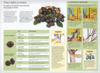 11 fructele | PDF