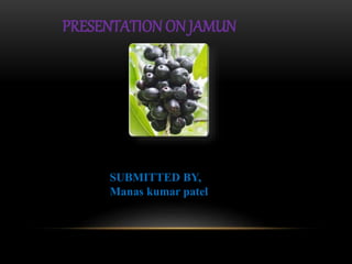 PRESENTATION ON JAMUN
SUBMITTED BY,
Manas kumar patel
 