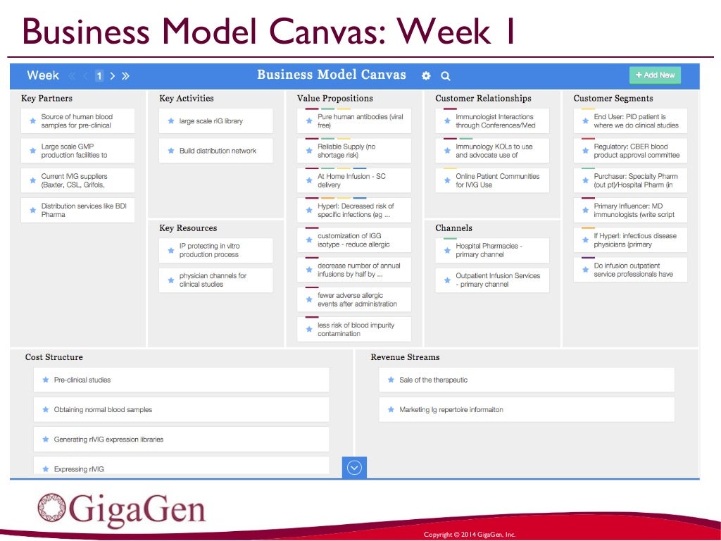 business model canvas week 1