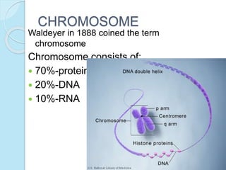CHROMOSOME
Waldeyer in 1888 coined the term
chromosome
Chromosome consists of:
 70%-protein
 20%-DNA
 10%-RNA
 