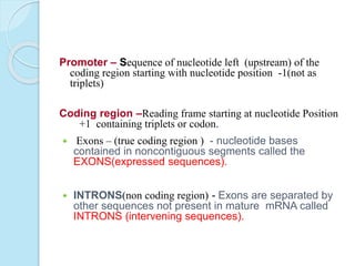 Promoter – Sequence of nucleotide left (upstream) of the
coding region starting with nucleotide position -1(not as
triplets)
Coding region –Reading frame starting at nucleotide Position
+1 containing triplets or codon.
 Exons – (true coding region ) - nucleotide bases
contained in noncontiguous segments called the
EXONS(expressed sequences).
 INTRONS(non coding region) - Exons are separated by
other sequences not present in mature mRNA called
INTRONS (intervening sequences).
 