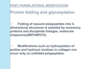 POST-TRANSLATIONAL MODIFICATION
Protein folding and glycosylation
 Folding of nascent polypeptides into 3-
dimensional structures is assisted by accessory
proteins and disulphide linkages, molecular
chaperones(BIP,HSP,FO).
 Modifications such as hydroxylation of
proline and hydroxyl residues in collagen can
occur only on unfolded polypeptides.
 