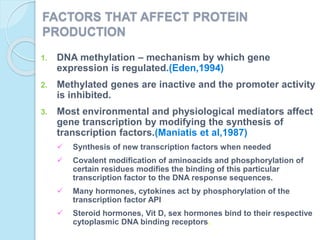 FACTORS THAT AFFECT PROTEIN
PRODUCTION
1. DNA methylation – mechanism by which gene
expression is regulated.(Eden,1994)
2. Methylated genes are inactive and the promoter activity
is inhibited.
3. Most environmental and physiological mediators affect
gene transcription by modifying the synthesis of
transcription factors.(Maniatis et al,1987)
 Synthesis of new transcription factors when needed
 Covalent modification of aminoacids and phosphorylation of
certain residues modifies the binding of this particular
transcription factor to the DNA response sequences.
 Many hormones, cytokines act by phosphorylation of the
transcription factor API
 Steroid hormones, Vit D, sex hormones bind to their respective
cytoplasmic DNA binding receptors.
 