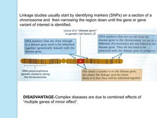 Linkage studies usually start by identifying markers (SNPs) on a section of a
chromosome and then narrowing the region down until the gene or gene
variant of interest is identified.
DISADVANTAGE-Complex diseases are due to combined effects of
“multiple genes of minor effect”.
 
