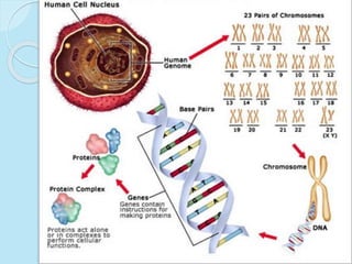 Genetics,study designs- Dr Harshavardhan Patwal
