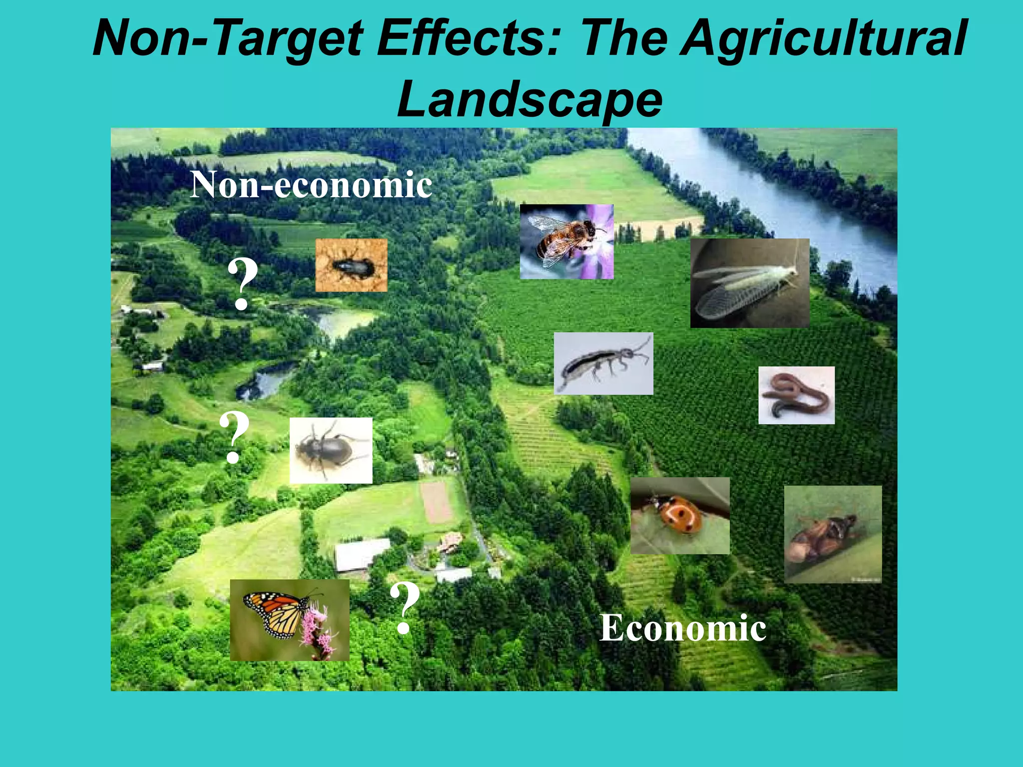 Non-Target Effects: The Agricultural
Landscape
?
?
?
NonNon--economiceconomic
EconomicEconomic
 