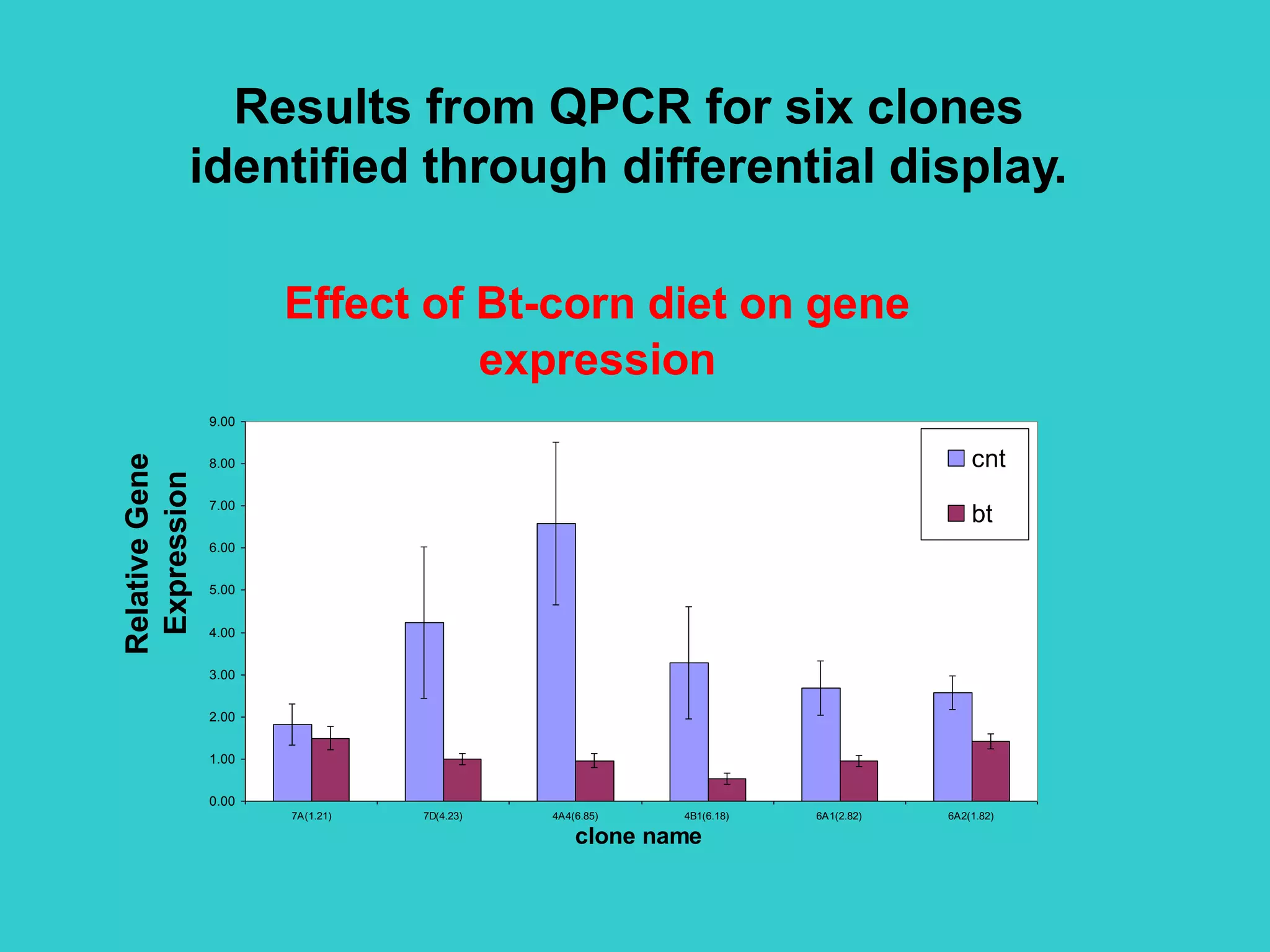 Effect of Bt-corn diet on gene
expression
0.00
1.00
2.00
3.00
4.00
5.00
6.00
7.00
8.00
9.00
7A(1.21) 7D(4.23) 4A4(6.85) 4B1(6.18) 6A1(2.82) 6A2(1.82)
clone name
RelativeGene
Expression
cnt
bt
Results from QPCR for six clones
identified through differential display.
 
