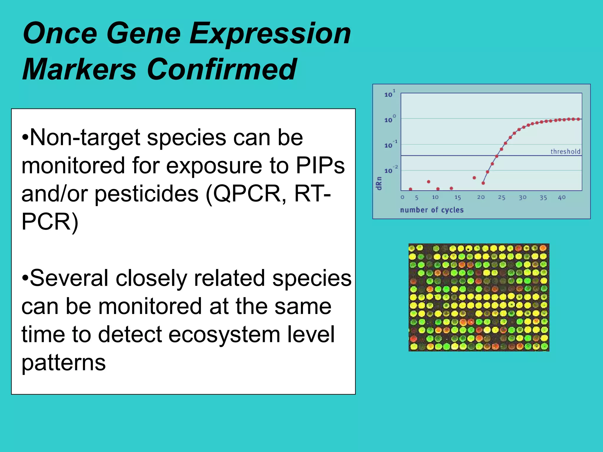 Once Gene Expression
Markers Confirmed
•Non-target species can be
monitored for exposure to PIPs
and/or pesticides (QPCR, RT-
PCR)
•Several closely related species
can be monitored at the same
time to detect ecosystem level
patterns
 