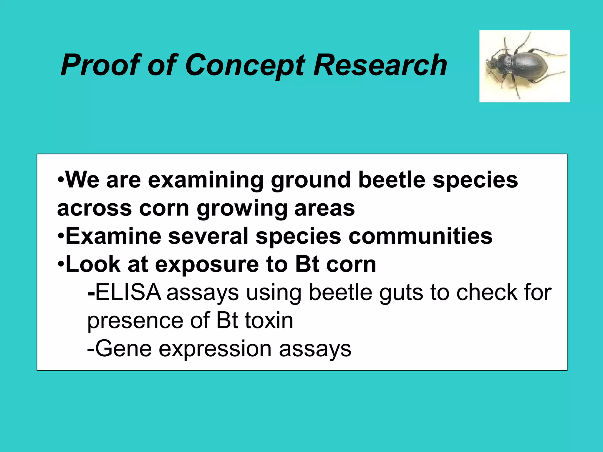 Proof of Concept Research
•We are examining ground beetle species
across corn growing areas
•Examine several species communities
•Look at exposure to Bt corn
-ELISA assays using beetle guts to check for
presence of Bt toxin
-Gene expression assays
 