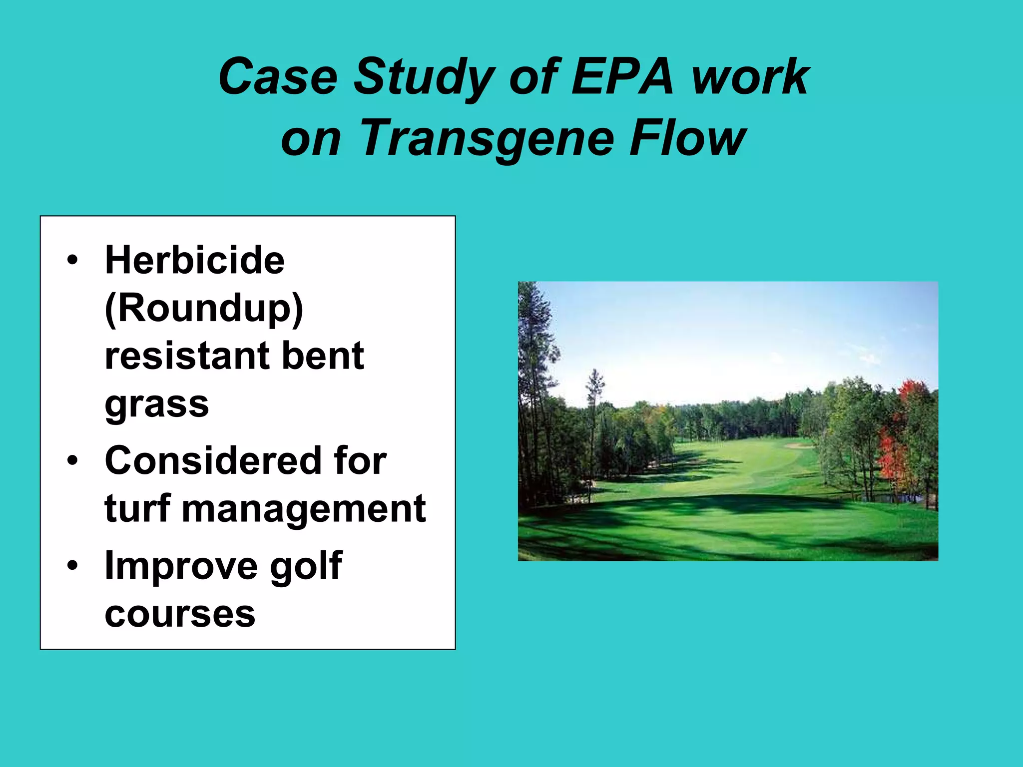 Case Study of EPA work
on Transgene Flow
• Herbicide
(Roundup)
resistant bent
grass
• Considered for
turf management
• Improve golf
courses
 