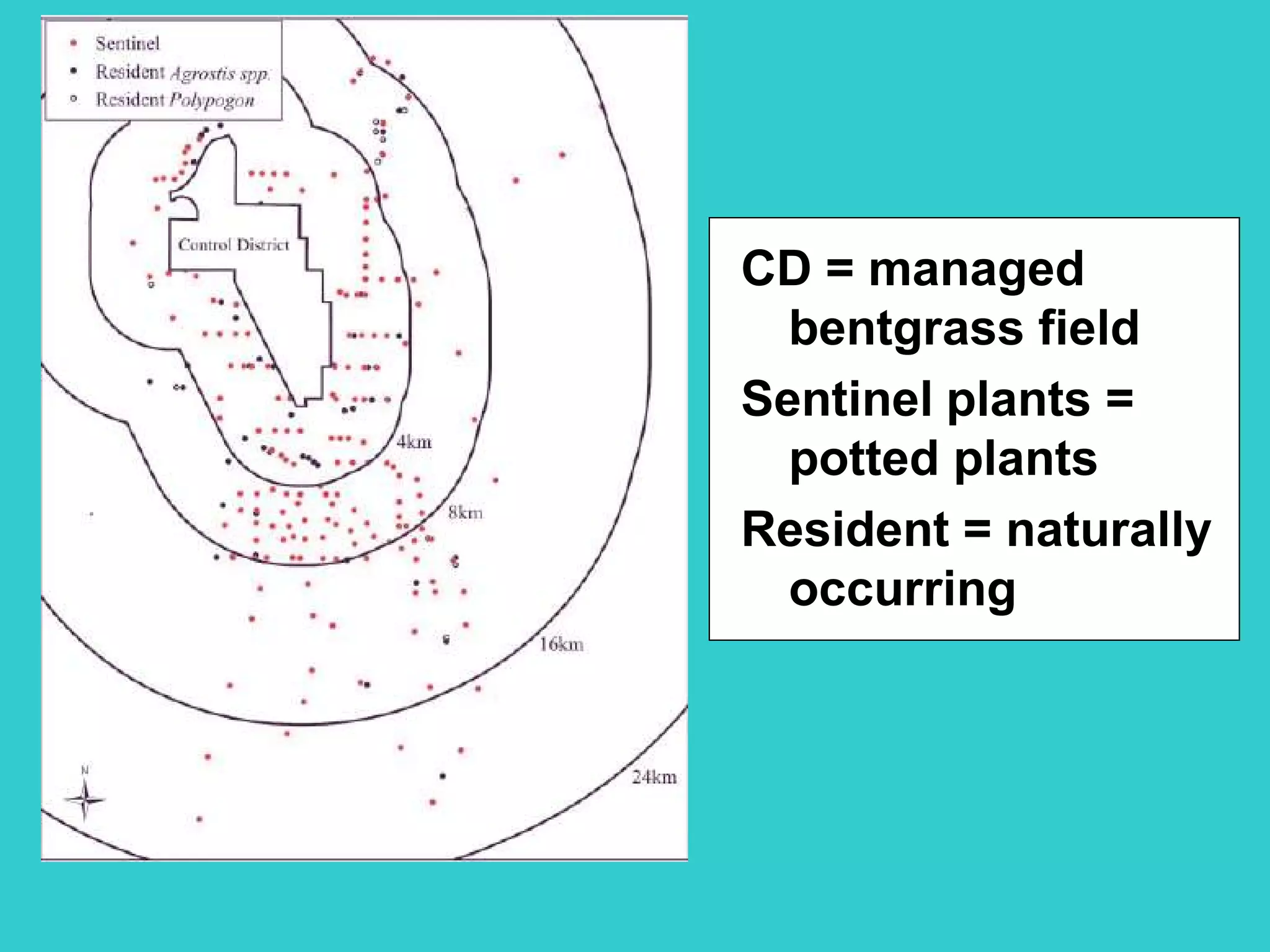 CD = managed
bentgrass field
Sentinel plants =
potted plants
Resident = naturally
occurring
 