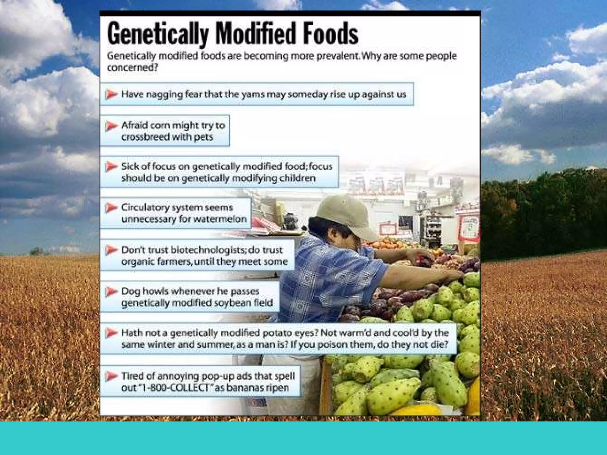 11 genomic approaches to monitoring the effects of gmo