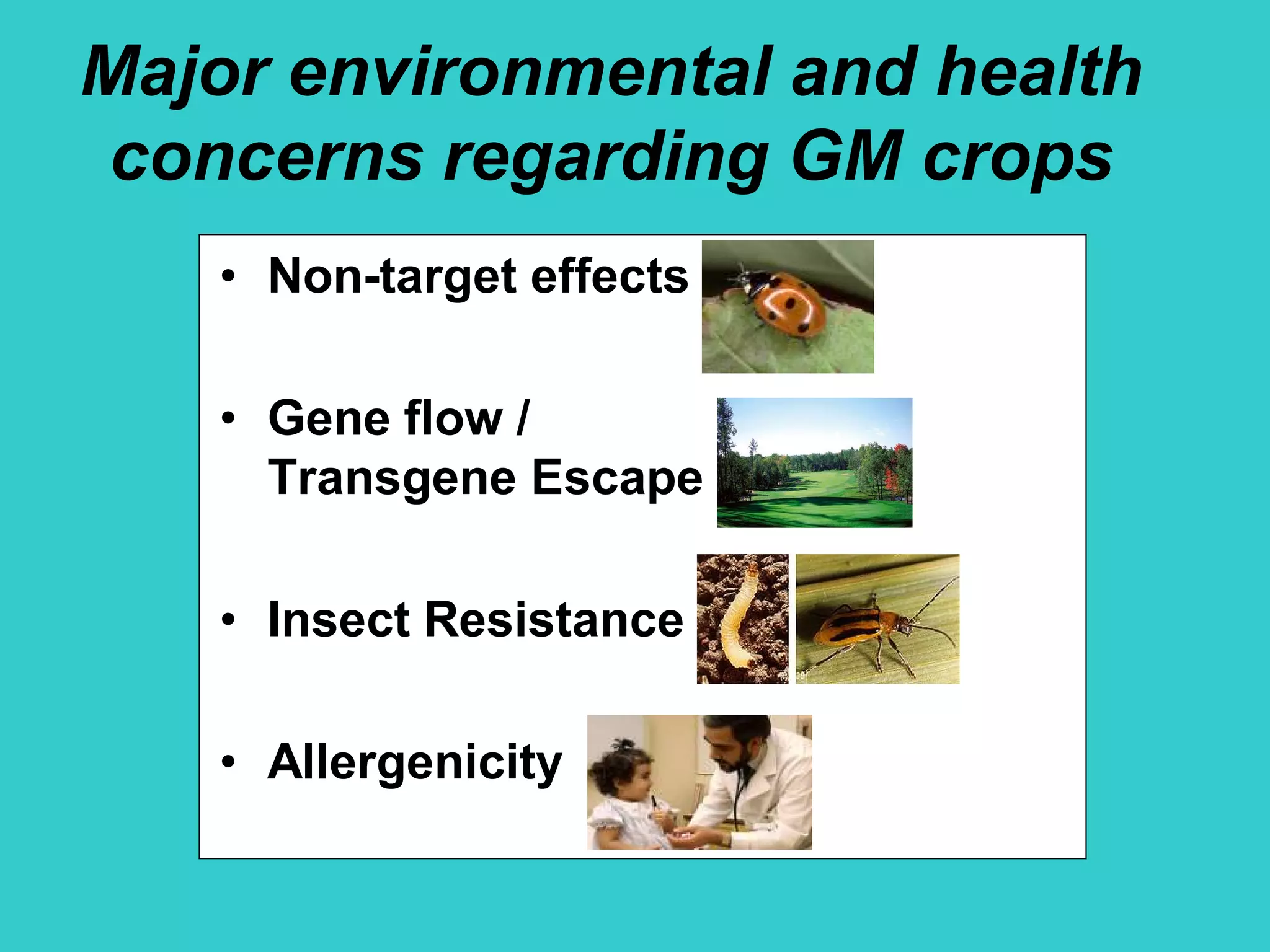 Major environmental and health
concerns regarding GM crops
• Non-target effects
• Gene flow /
Transgene Escape
• Insect Resistance
• Allergenicity
 