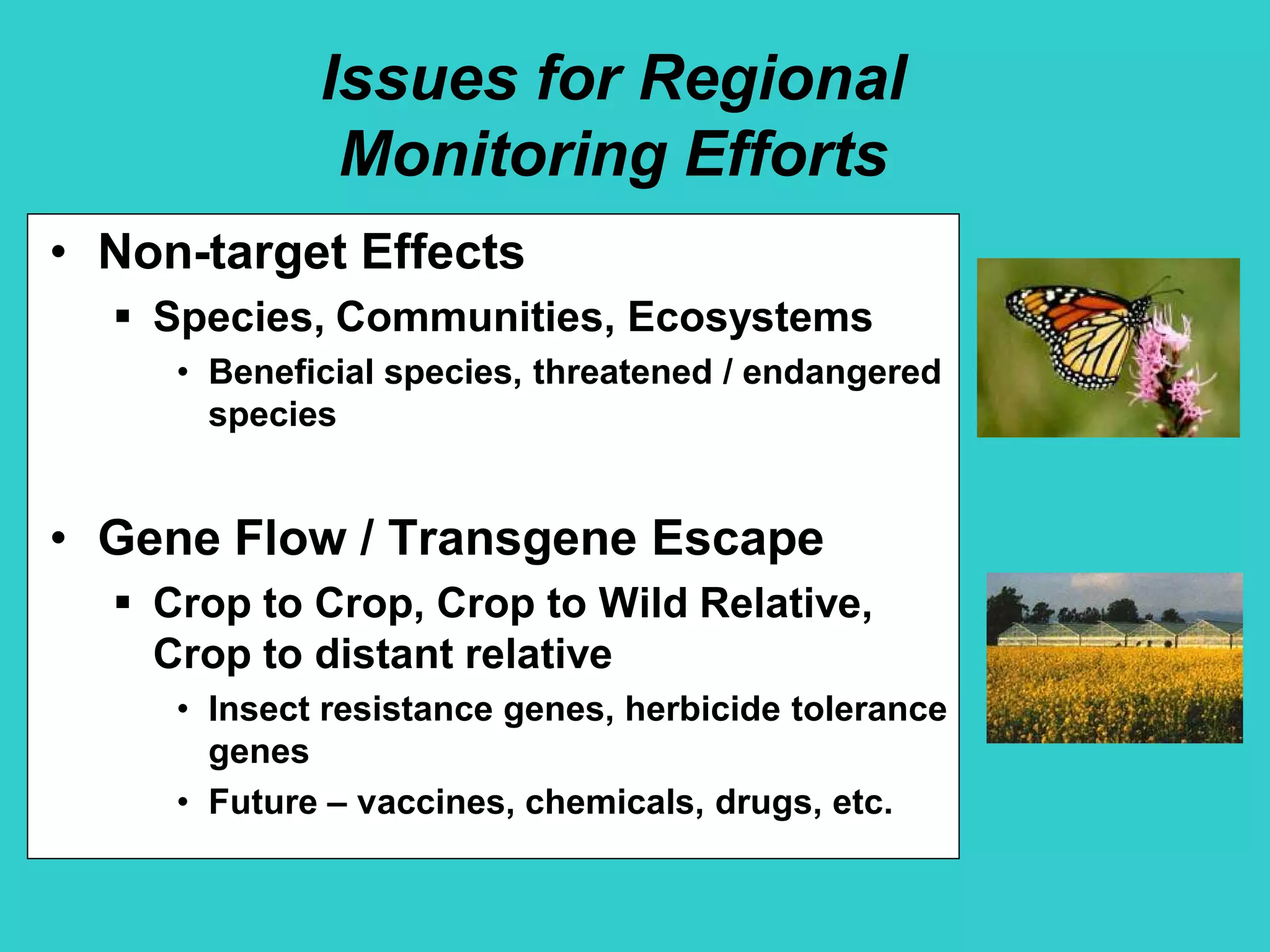 Issues for Regional
Monitoring Efforts
• Non-target Effects
 Species, Communities, Ecosystems
• Beneficial species, threatened / endangered
species
• Gene Flow / Transgene Escape
 Crop to Crop, Crop to Wild Relative,
Crop to distant relative
• Insect resistance genes, herbicide tolerance
genes
• Future – vaccines, chemicals, drugs, etc.
 
