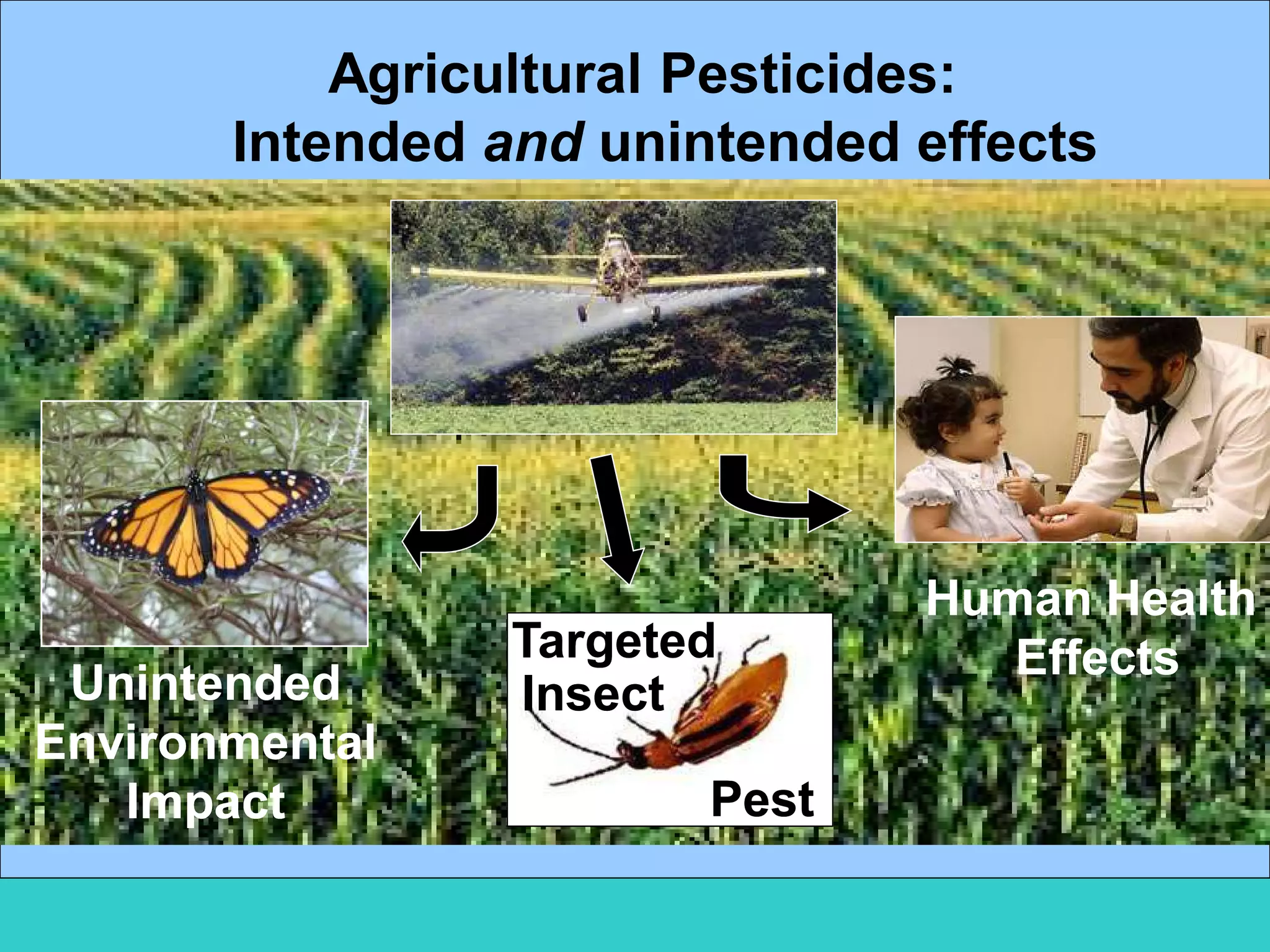 Agricultural Pesticides:
UnintendedUnintended
EnvironmentalEnvironmental
ImpactImpact
Intended and unintended effects
Human HealthHuman Health
EffectsEffectsTargetedTargeted
InsectInsect
PestPest
 