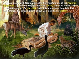 Scripture opens with God creating the first humans out of the “dust of
the ground.” In fact, the Hebrew word for “man,” adam, is closely tied
to the Hebrew word for “ground,” which is adamah—a linguistic link
that enforces the amazing truth about God’s skill as a “potter.”
 