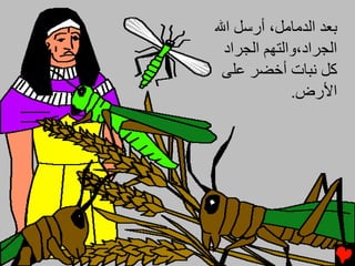 ‫ﺑﻌﺪ اﻟﺪﻡﺎﻡﻞ، أرﺱﻞ اﷲ‬
 ‫اﻟﺠﺮاد،واﻟﺘﻬﻢ اﻟﺠﺮاد‬
 ‫آﻞ ﻧﺒﺎت أﺥﻀﺮ ﻋﻠﻰ‬
             ‫اﻷرض.‬
 