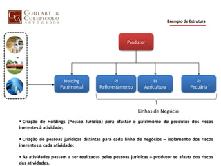 PJ
Reflorestamento
Produtor
PJ
Agricultura
 Criação de Holdings (Pessoa Jurídica) para afastar o patrimônio do produtor dos riscos
inerentes à atividade;
 Criação de pessoas jurídicas distintas para cada linha de negócios – isolamento dos riscos
inerentes a cada atividade;
 As atividades passam a ser realizadas pelas pessoas jurídicas – produtor se afasta dos riscos
das atividades.
Holding
Patrimonial
PJ
Pecuária
Linhas de Negócio
Exemplo de Estrutura
 