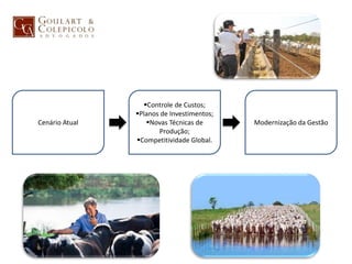 Controle de Custos;
Planos de Investimentos;
Novas Técnicas de
Produção;
Competitividade Global.
Modernização da GestãoCenário Atual
 