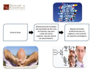 Afastamento do Fundador
das atividades de dia a dia
da Fazenda, seja para
cuidar de outros
negócios, seja por planos
de aposentadoria
Adoção de Gestão
professional para os
negócios, com controle
de aspectos estratégicos
Cenário Atual
 